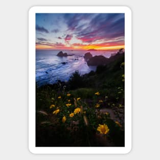 Flowers at Sunset Sticker